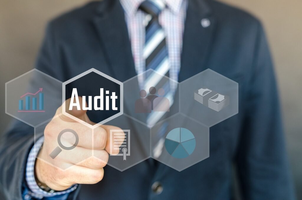 SEO audit tool